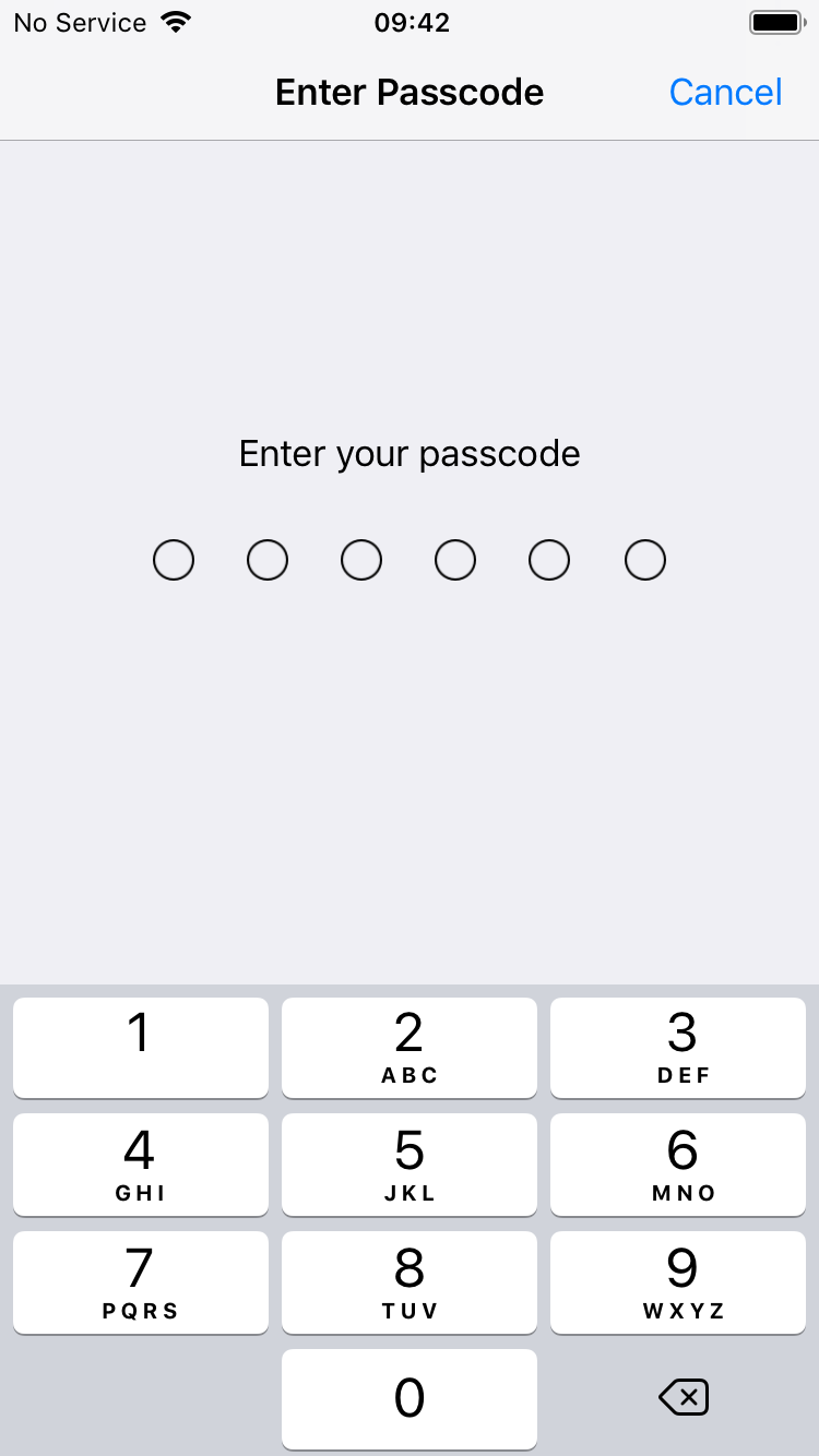 3b. Enter Passcode