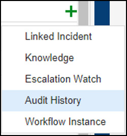 The plus sign icon on the Incident screen with 'Audit History' selected in the the drop down menu
