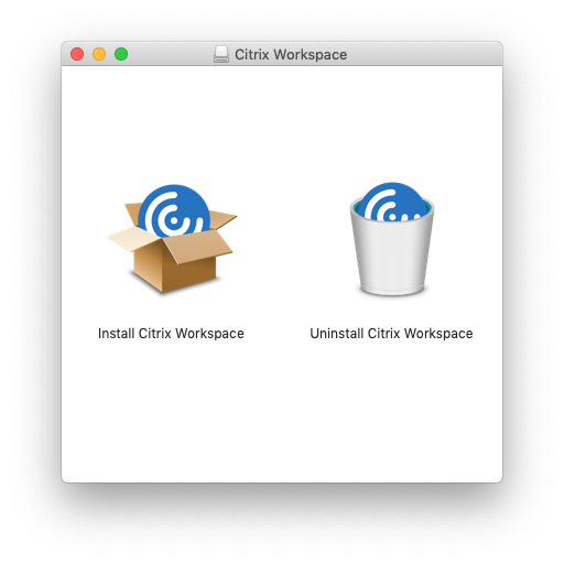 Citrix workspace app catalina free