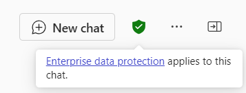 Green Shield icon with text 'Enterprise data protection applies to this chat'