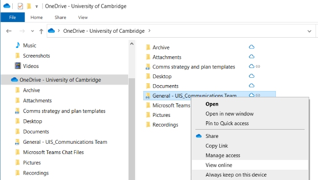 View Online menu option selected from the OneDrive SharePoint folders shortcut