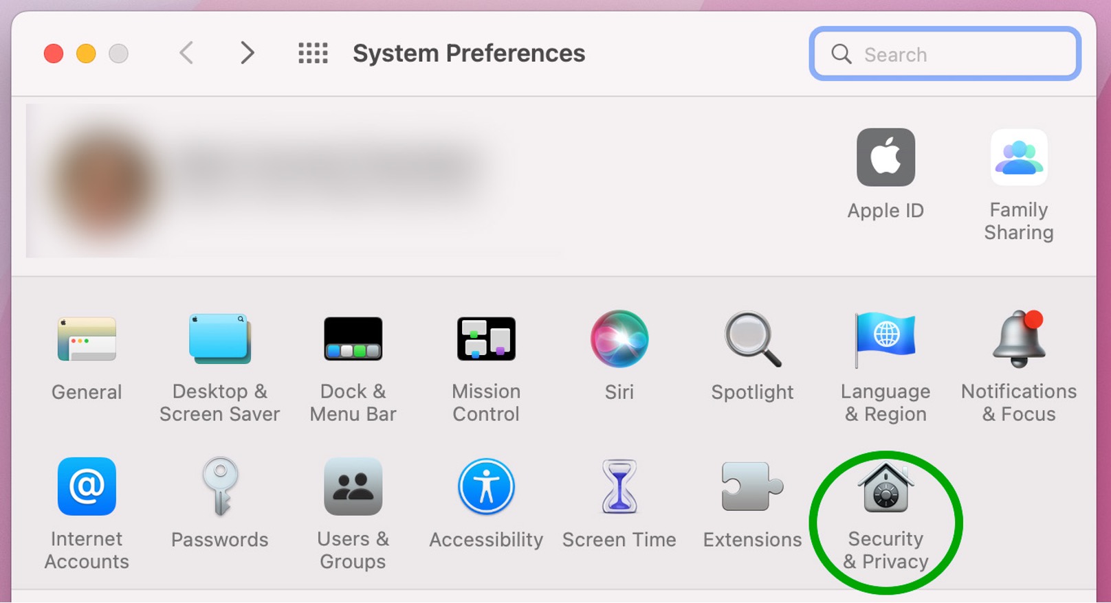 The 'System Preferences' screen with 'Security & Privacy' highlighted.