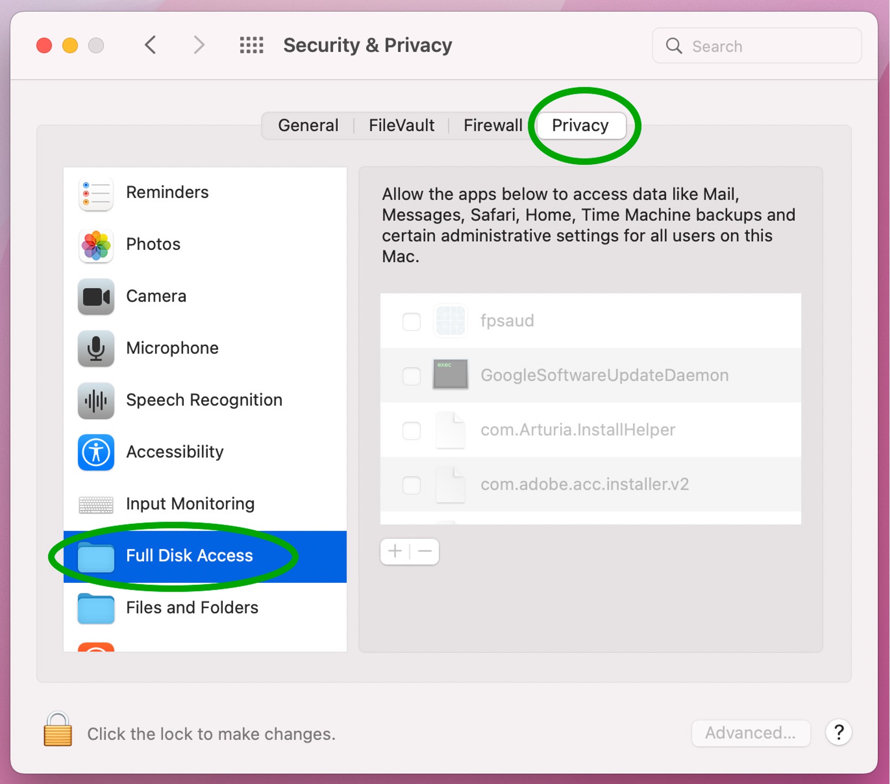 The 'Security and Privacy' screen with 'Privacy' highlighted.