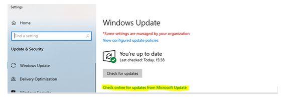 Windows Update - check online for updates window