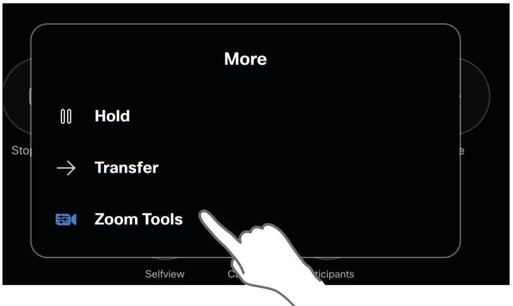 On the control panel, tap Zoom Tools